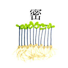[LINEスタンプ] 豆苗。