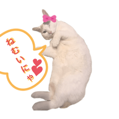 [LINEスタンプ] こゆき様