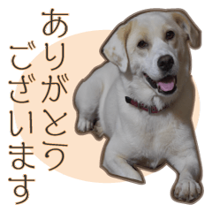 [LINEスタンプ] 愛犬ミルキーちゃん 2