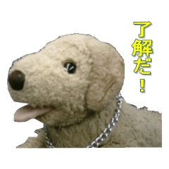 [LINEスタンプ] 綿いぬ