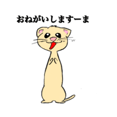 [LINEスタンプ] フェレットのすーま！
