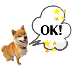 [LINEスタンプ] ハッチのごあいさつ3