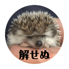 [LINEスタンプ] ハリ天使2❤️