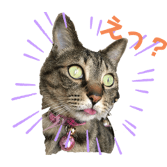 [LINEスタンプ] RIN RIN⓵