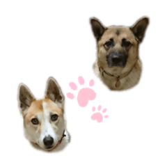[LINEスタンプ] むぎ笑のスタンプ