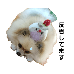 [LINEスタンプ] kingまろん2