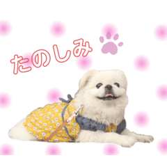 [LINEスタンプ] ミル姉さんの画像（メイン）