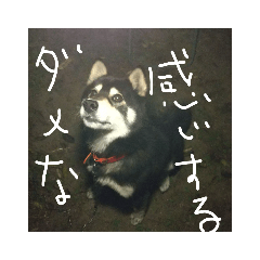 [LINEスタンプ] 鬱犬スタンプ