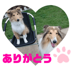 [LINEスタンプ] タイム＆リー