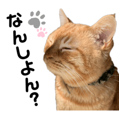 [LINEスタンプ] デップとチャー