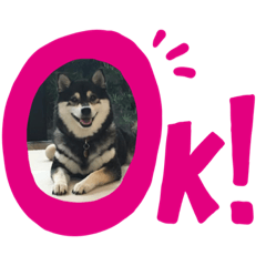 [LINEスタンプ] 今日の桜子❣️スタンプ
