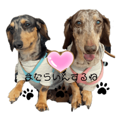 [LINEスタンプ] るびさふぁスタンプbyてぃあらママ