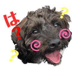[LINEスタンプ] 木本家スタンプ