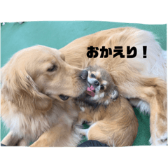 [LINEスタンプ] どこかの専門学校のスタンプ
