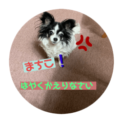 [LINEスタンプ] hinatyan0515