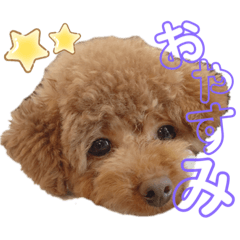 [LINEスタンプ] ハナだよっ
