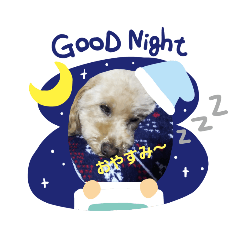 [LINEスタンプ] ハッピートイプー