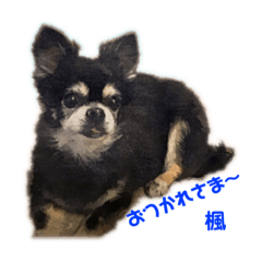 [LINEスタンプ] 楓 スタンプ2