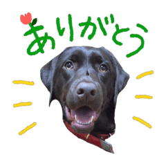 [LINEスタンプ] くるみとなかまたち1