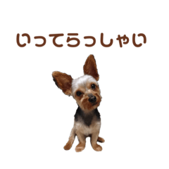 [LINEスタンプ] うちの殿君2