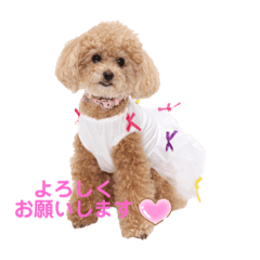 [LINEスタンプ] コロコロコロンちゃん