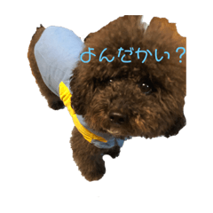[LINEスタンプ] マンディンガのスタンプ