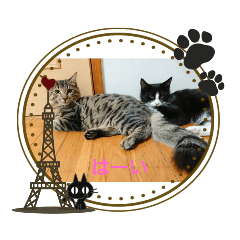 [LINEスタンプ] yoshinosouma