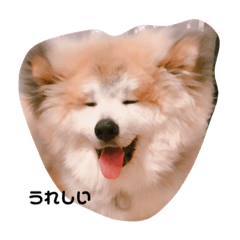 [LINEスタンプ] ロン・スタ