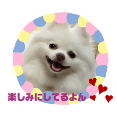 [LINEスタンプ] ポメコロちゃん 2