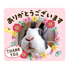 [LINEスタンプ] ミニレッキスのレッキーの日常2