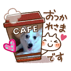 [LINEスタンプ] 可愛い子 犬兎