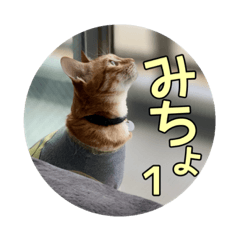 [LINEスタンプ] みちょ1