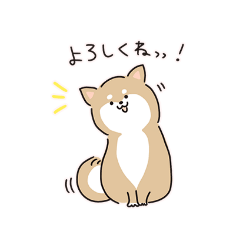 [LINEスタンプ] 柴犬の生活スタンプ