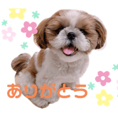 [LINEスタンプ] げんスタンプ（普段＆MAX）