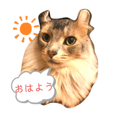 [LINEスタンプ] アンリコリン