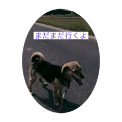 [LINEスタンプ] いい、人生