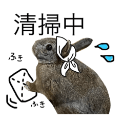 [LINEスタンプ] ウサくんの日常
