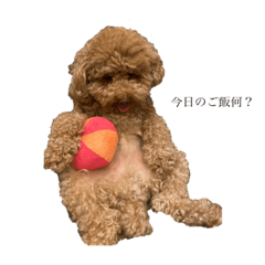 [LINEスタンプ] ププのスタンプ2