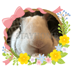 [LINEスタンプ] お茶目なkokkochan(4)