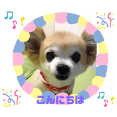 [LINEスタンプ] うちのまりあんな❣️