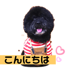 [LINEスタンプ] もんᶜʰᵃⁿ♡