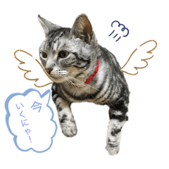 [LINEスタンプ] みなちゃんの日々