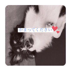 [LINEスタンプ] ばろころ2