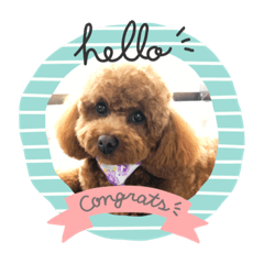 [LINEスタンプ] ちゃたろだもの