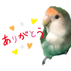 [LINEスタンプ] はるまる日和