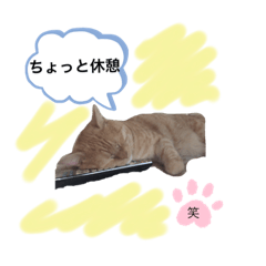 [LINEスタンプ] 笑ちゃんスタンプ❤︎