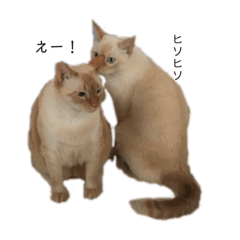 [LINEスタンプ] 十猫十色 2