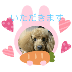 [LINEスタンプ] ボクのある日