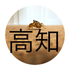 [LINEスタンプ] サワガニ2ひき 第三弾(土佐弁バージョン)