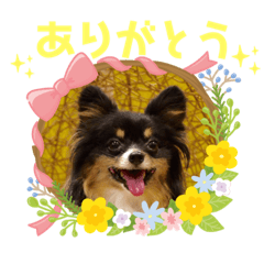 [LINEスタンプ] パピジャニのリンちゃん